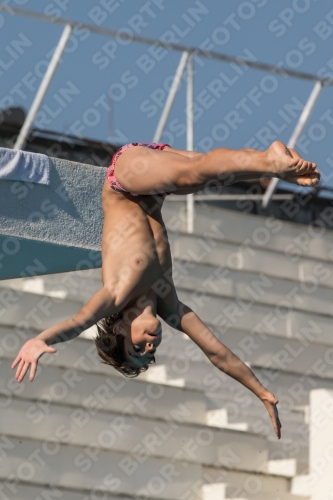 2017 - 8. Sofia Diving Cup 2017 - 8. Sofia Diving Cup 03012_16755.jpg