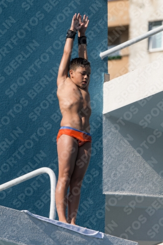 2017 - 8. Sofia Diving Cup 2017 - 8. Sofia Diving Cup 03012_16814.jpg