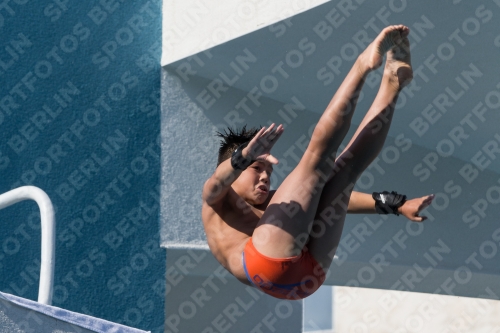 2017 - 8. Sofia Diving Cup 2017 - 8. Sofia Diving Cup 03012_16818.jpg