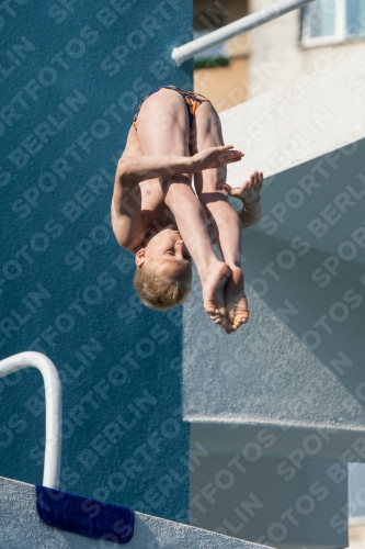 2017 - 8. Sofia Diving Cup 2017 - 8. Sofia Diving Cup 03012_16859.jpg