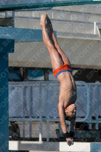 2017 - 8. Sofia Diving Cup 2017 - 8. Sofia Diving Cup 03012_17064.jpg