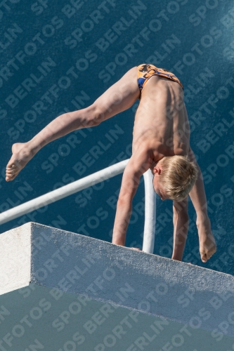 2017 - 8. Sofia Diving Cup 2017 - 8. Sofia Diving Cup 03012_17093.jpg