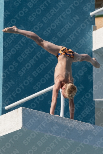 2017 - 8. Sofia Diving Cup 2017 - 8. Sofia Diving Cup 03012_17095.jpg