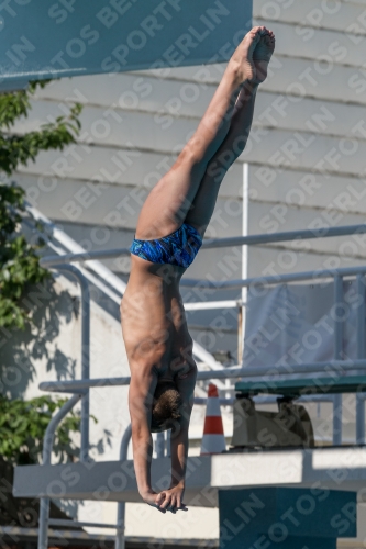 2017 - 8. Sofia Diving Cup 2017 - 8. Sofia Diving Cup 03012_17156.jpg
