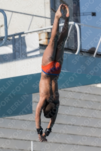 2017 - 8. Sofia Diving Cup 2017 - 8. Sofia Diving Cup 03012_17241.jpg