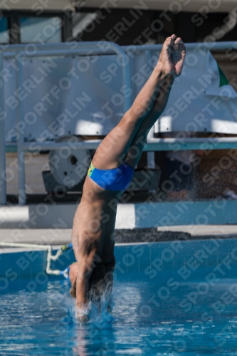 2017 - 8. Sofia Diving Cup 2017 - 8. Sofia Diving Cup 03012_17321.jpg