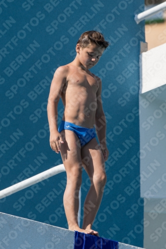 2017 - 8. Sofia Diving Cup 2017 - 8. Sofia Diving Cup 03012_17322.jpg