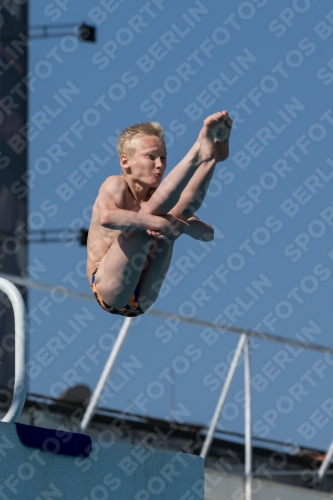 2017 - 8. Sofia Diving Cup 2017 - 8. Sofia Diving Cup 03012_17453.jpg