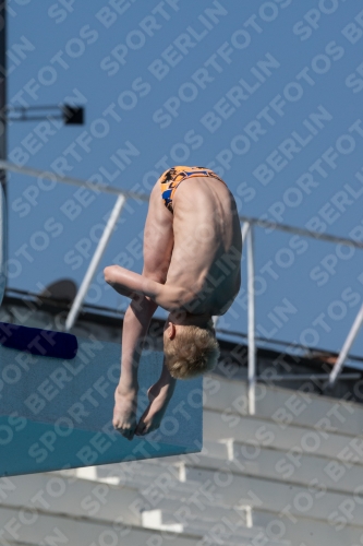 2017 - 8. Sofia Diving Cup 2017 - 8. Sofia Diving Cup 03012_17454.jpg