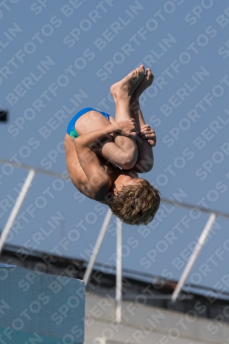 2017 - 8. Sofia Diving Cup 2017 - 8. Sofia Diving Cup 03012_17472.jpg