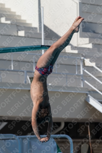 2017 - 8. Sofia Diving Cup 2017 - 8. Sofia Diving Cup 03012_17516.jpg
