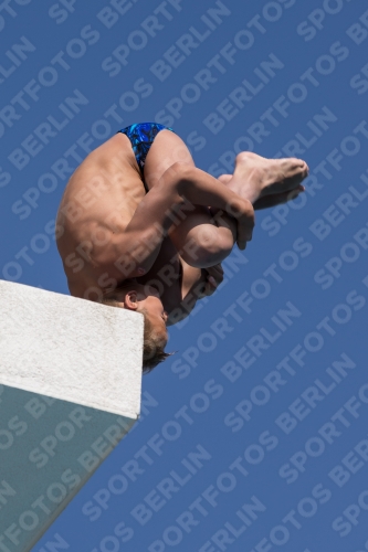 2017 - 8. Sofia Diving Cup 2017 - 8. Sofia Diving Cup 03012_17646.jpg