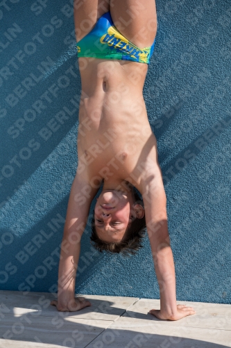 2017 - 8. Sofia Diving Cup 2017 - 8. Sofia Diving Cup 03012_17699.jpg