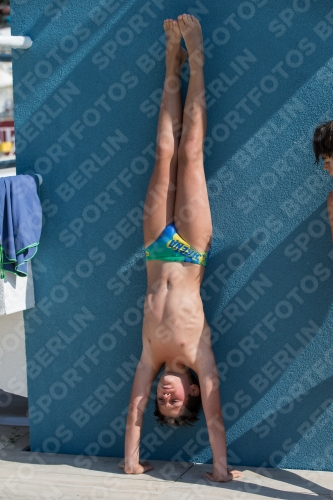 2017 - 8. Sofia Diving Cup 2017 - 8. Sofia Diving Cup 03012_17701.jpg