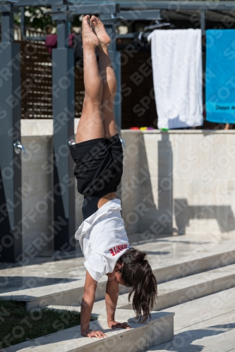 2017 - 8. Sofia Diving Cup 2017 - 8. Sofia Diving Cup 03012_17780.jpg