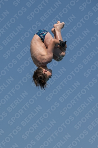 2017 - 8. Sofia Diving Cup 2017 - 8. Sofia Diving Cup 03012_17802.jpg