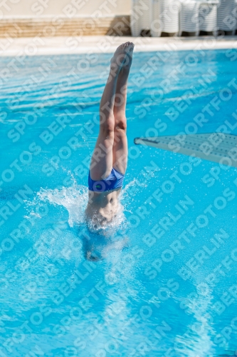 2017 - 8. Sofia Diving Cup 2017 - 8. Sofia Diving Cup 03012_17826.jpg