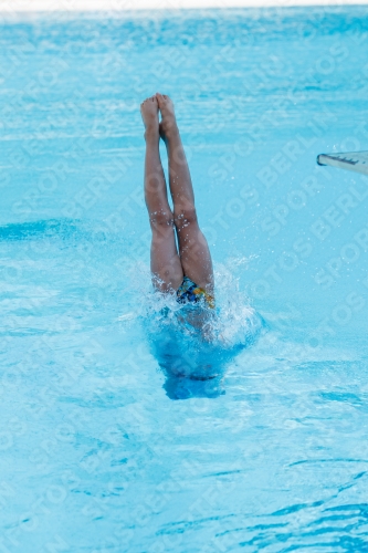 2017 - 8. Sofia Diving Cup 2017 - 8. Sofia Diving Cup 03012_17867.jpg