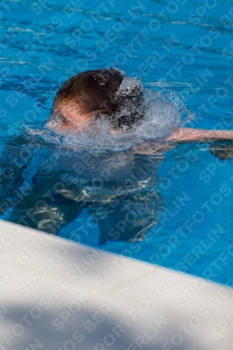 2017 - 8. Sofia Diving Cup 2017 - 8. Sofia Diving Cup 03012_18181.jpg