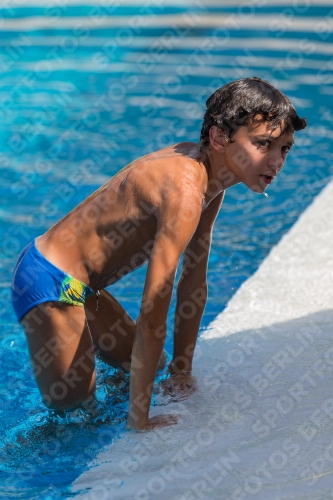 2017 - 8. Sofia Diving Cup 2017 - 8. Sofia Diving Cup 03012_18266.jpg