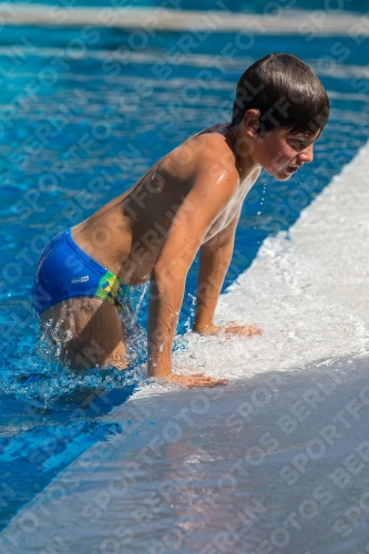 2017 - 8. Sofia Diving Cup 2017 - 8. Sofia Diving Cup 03012_18306.jpg