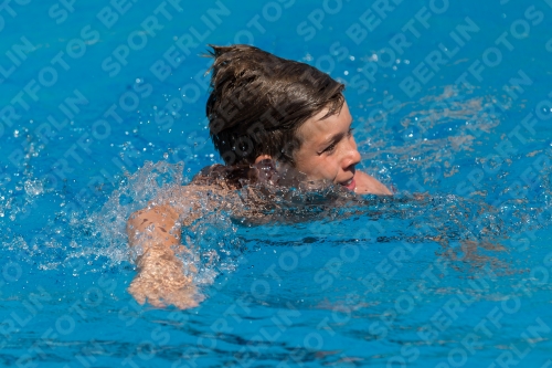 2017 - 8. Sofia Diving Cup 2017 - 8. Sofia Diving Cup 03012_18523.jpg