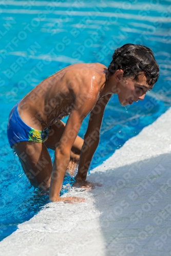 2017 - 8. Sofia Diving Cup 2017 - 8. Sofia Diving Cup 03012_18544.jpg
