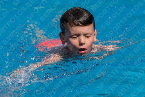 2017 - 8. Sofia Diving Cup 2017 - 8. Sofia Diving Cup 03012_18555.jpg