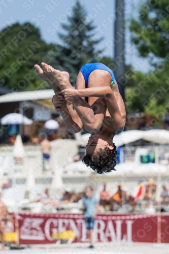 2017 - 8. Sofia Diving Cup 2017 - 8. Sofia Diving Cup 03012_18640.jpg