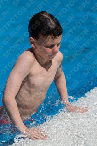 2017 - 8. Sofia Diving Cup 2017 - 8. Sofia Diving Cup 03012_18648.jpg