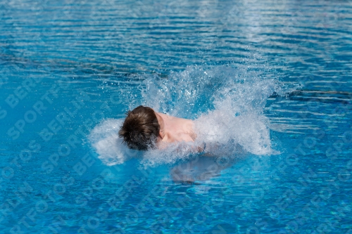 2017 - 8. Sofia Diving Cup 2017 - 8. Sofia Diving Cup 03012_18692.jpg