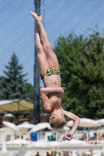 2017 - 8. Sofia Diving Cup 2017 - 8. Sofia Diving Cup 03012_18771.jpg