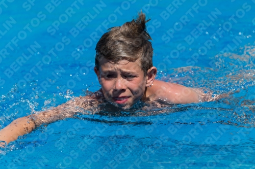 2017 - 8. Sofia Diving Cup 2017 - 8. Sofia Diving Cup 03012_18781.jpg
