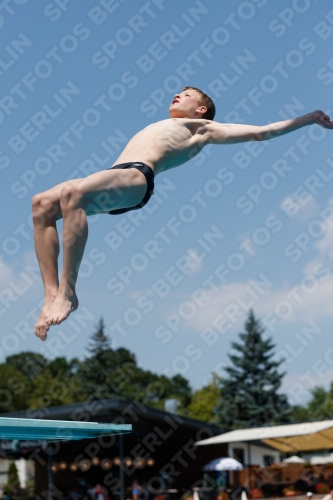 2017 - 8. Sofia Diving Cup 2017 - 8. Sofia Diving Cup 03012_18997.jpg