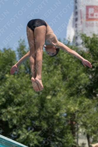 2017 - 8. Sofia Diving Cup 2017 - 8. Sofia Diving Cup 03012_19009.jpg