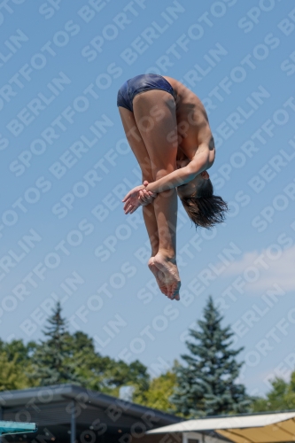 2017 - 8. Sofia Diving Cup 2017 - 8. Sofia Diving Cup 03012_19089.jpg