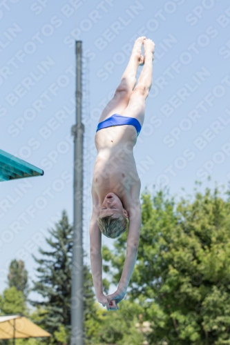 2017 - 8. Sofia Diving Cup 2017 - 8. Sofia Diving Cup 03012_19274.jpg