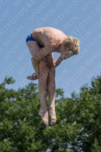 2017 - 8. Sofia Diving Cup 2017 - 8. Sofia Diving Cup 03012_19390.jpg