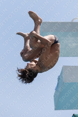 2017 - 8. Sofia Diving Cup 2017 - 8. Sofia Diving Cup 03012_19459.jpg
