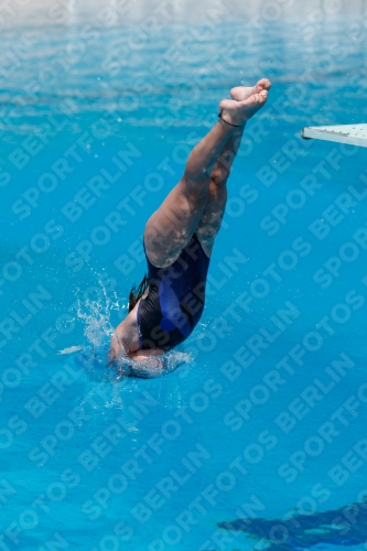 2017 - 8. Sofia Diving Cup 2017 - 8. Sofia Diving Cup 03012_19662.jpg
