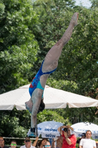 2017 - 8. Sofia Diving Cup 2017 - 8. Sofia Diving Cup 03012_19667.jpg