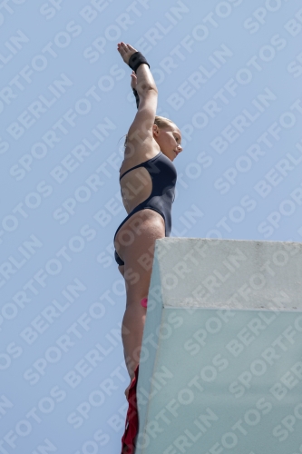 2017 - 8. Sofia Diving Cup 2017 - 8. Sofia Diving Cup 03012_19685.jpg