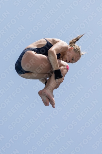2017 - 8. Sofia Diving Cup 2017 - 8. Sofia Diving Cup 03012_19689.jpg