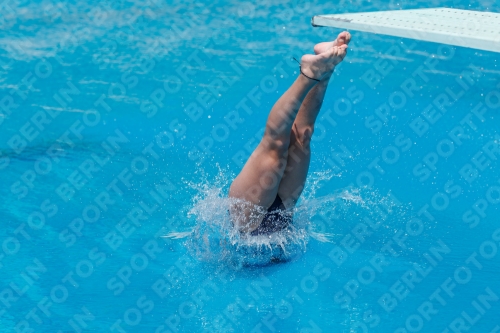 2017 - 8. Sofia Diving Cup 2017 - 8. Sofia Diving Cup 03012_19699.jpg