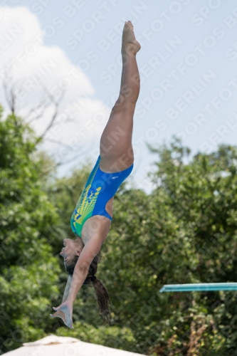 2017 - 8. Sofia Diving Cup 2017 - 8. Sofia Diving Cup 03012_19703.jpg