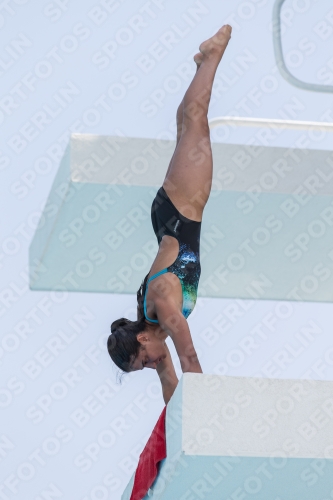 2017 - 8. Sofia Diving Cup 2017 - 8. Sofia Diving Cup 03012_19714.jpg