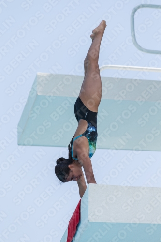 2017 - 8. Sofia Diving Cup 2017 - 8. Sofia Diving Cup 03012_19715.jpg