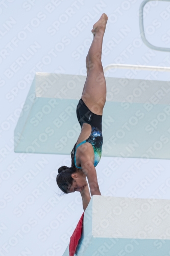 2017 - 8. Sofia Diving Cup 2017 - 8. Sofia Diving Cup 03012_19716.jpg