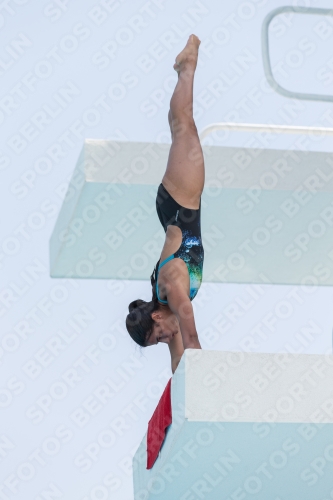 2017 - 8. Sofia Diving Cup 2017 - 8. Sofia Diving Cup 03012_19717.jpg
