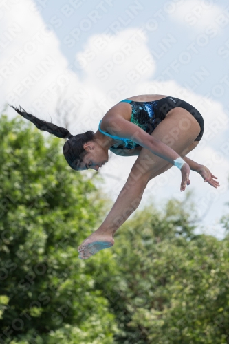 2017 - 8. Sofia Diving Cup 2017 - 8. Sofia Diving Cup 03012_19721.jpg